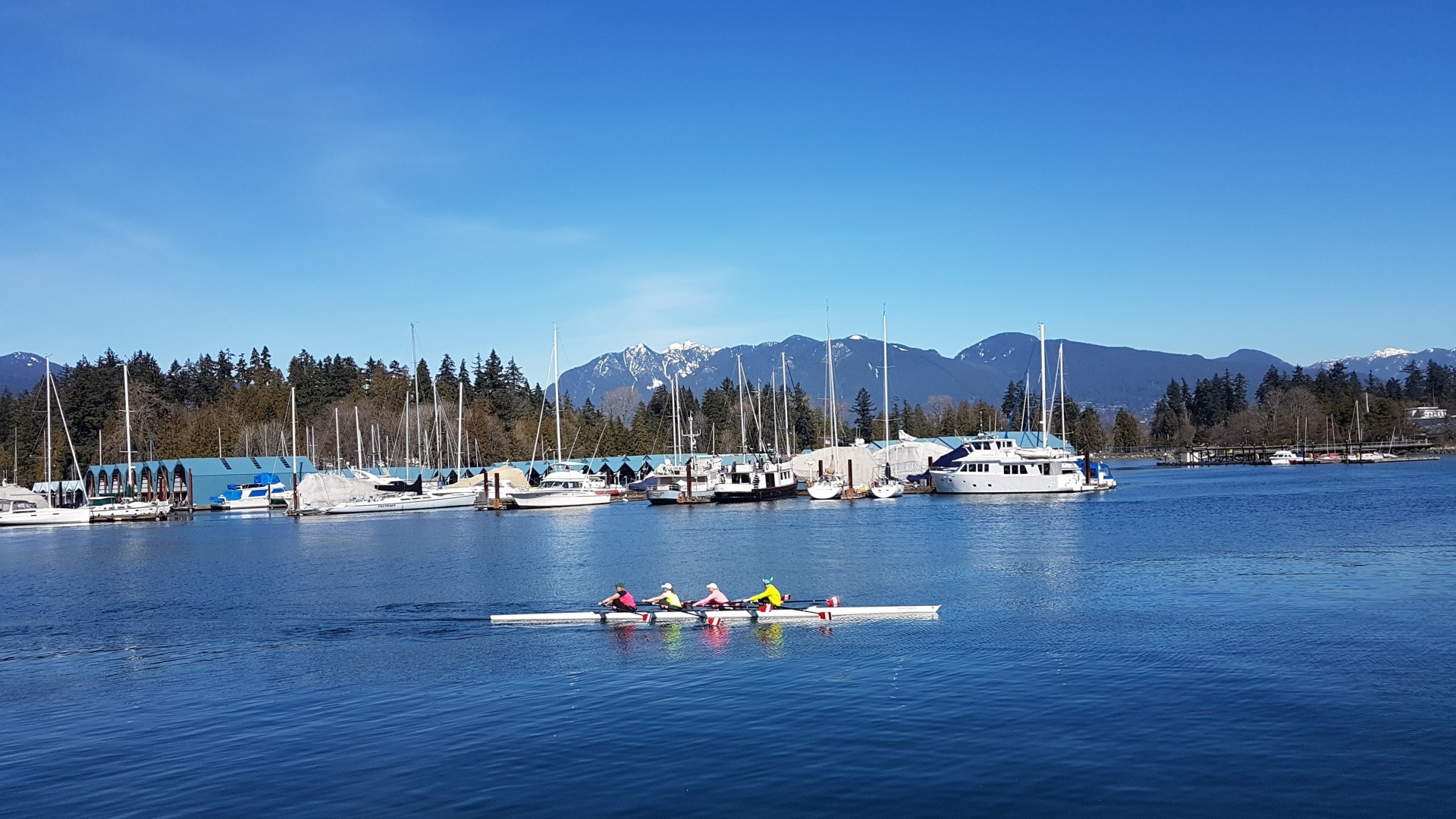 rowers-in-vancouver-20190317_130922