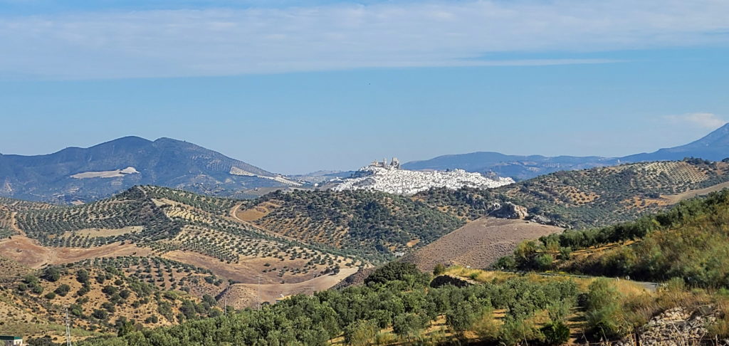 One of many white towns (pueblo blanco) in Andalucia, Spain