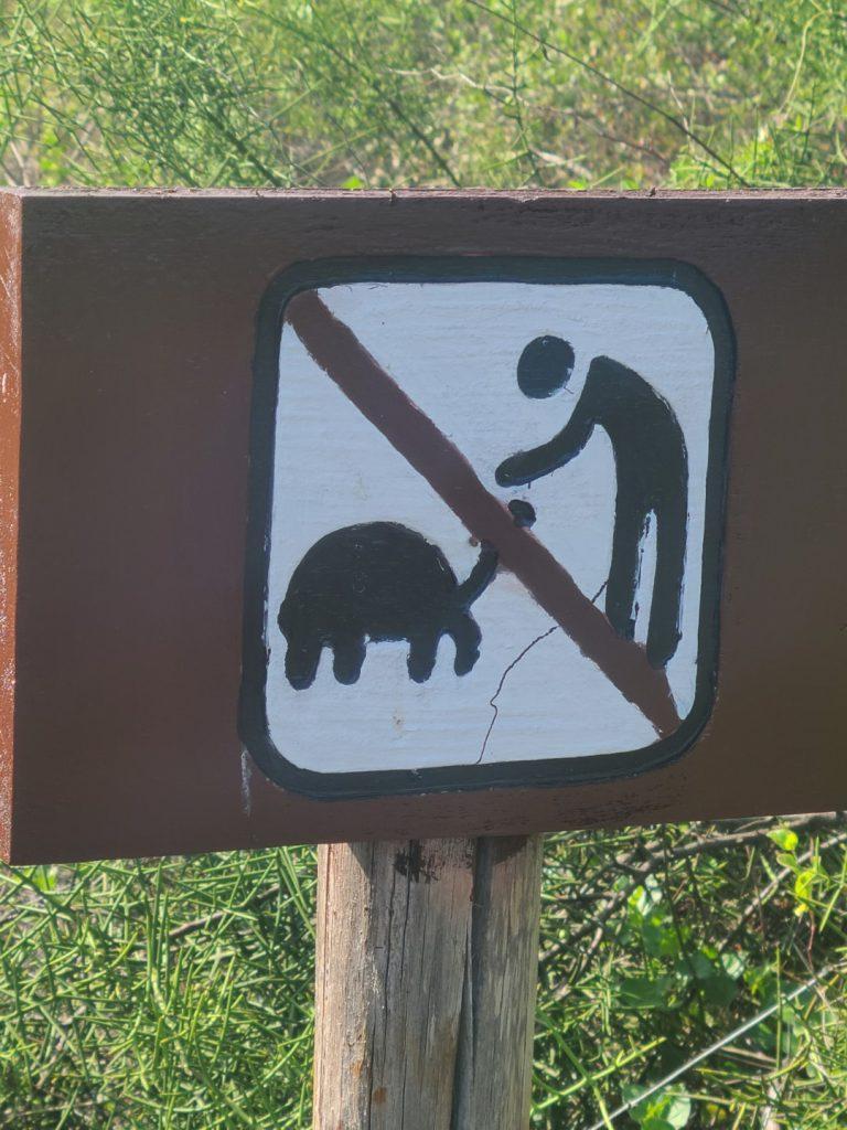 Don't pat the tortoises sign