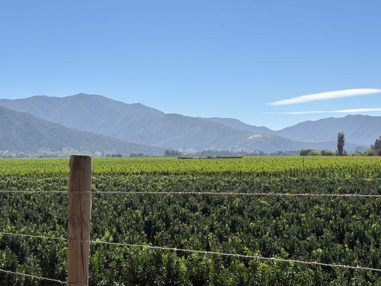 views while cycling in the Colchagua Valley in Chile