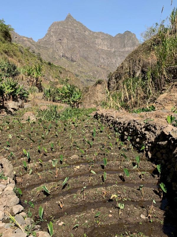 photos from first hike down from crater