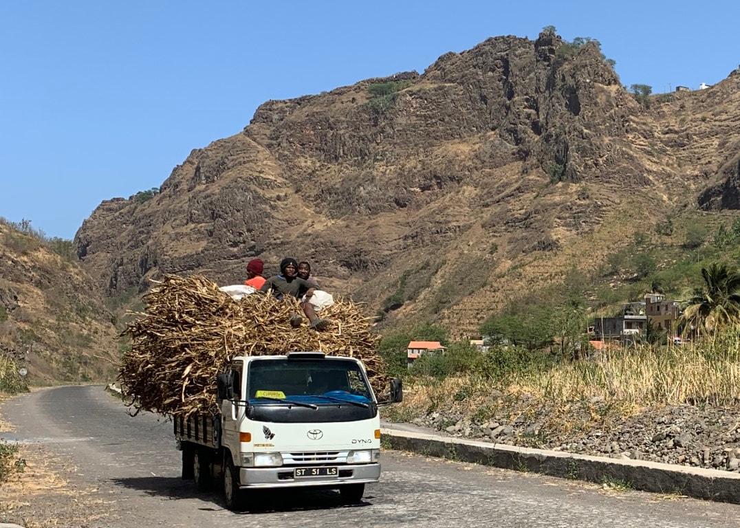 Workers on top of crops on top of truck