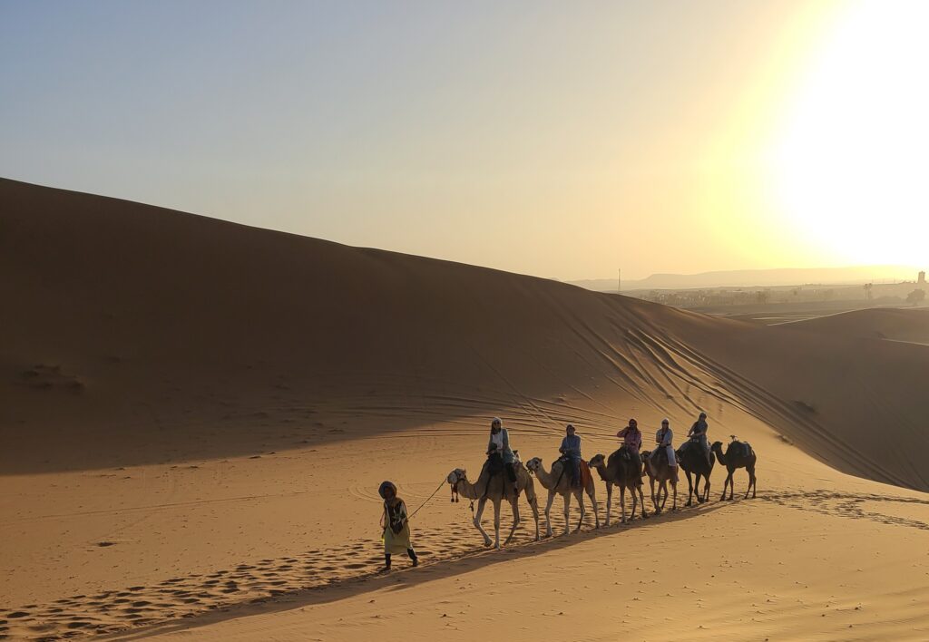 Camel riding at sunset in the Sahara Desert