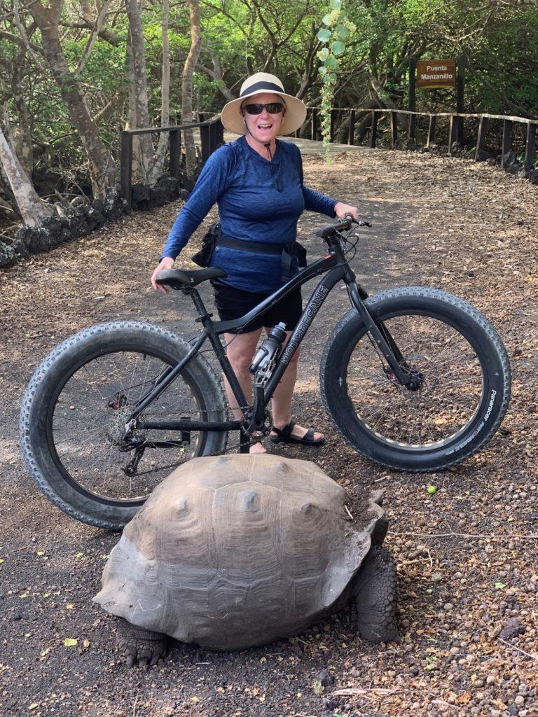 Tema and tortoise on bike path, Isabela Island, Galapagos