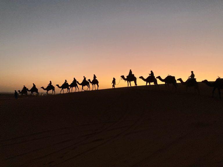 Sunset camel ride in Sahara Desert, Morocco