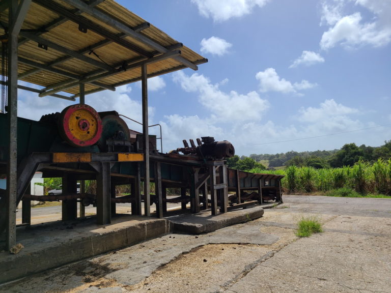 rum distillery with cane fields in background