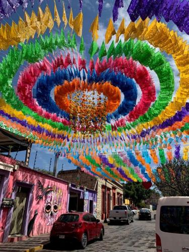 colour is everywhere in Oaxaca, Mexico