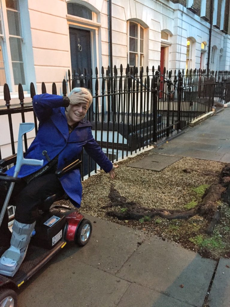 Tree stumps in sidewalk are a major hazard for the mobility impaired